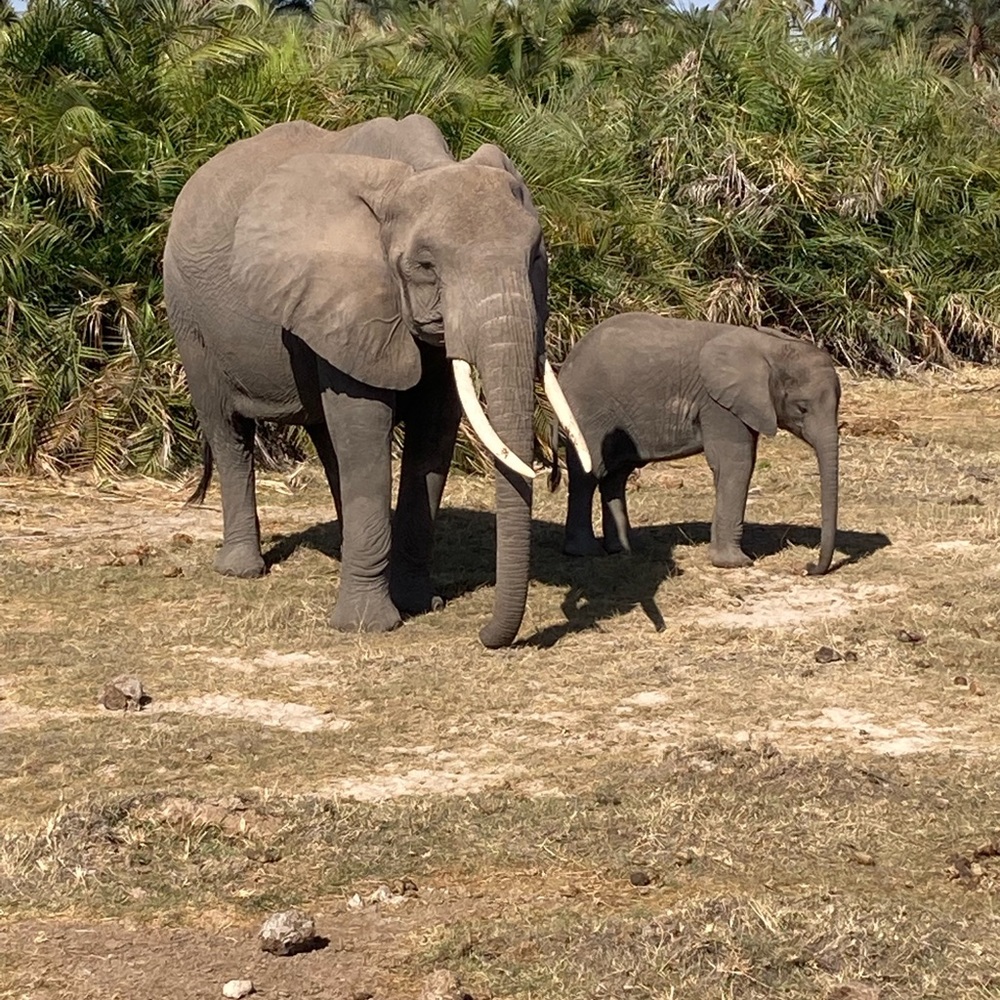 Meet your Posher, Savannah